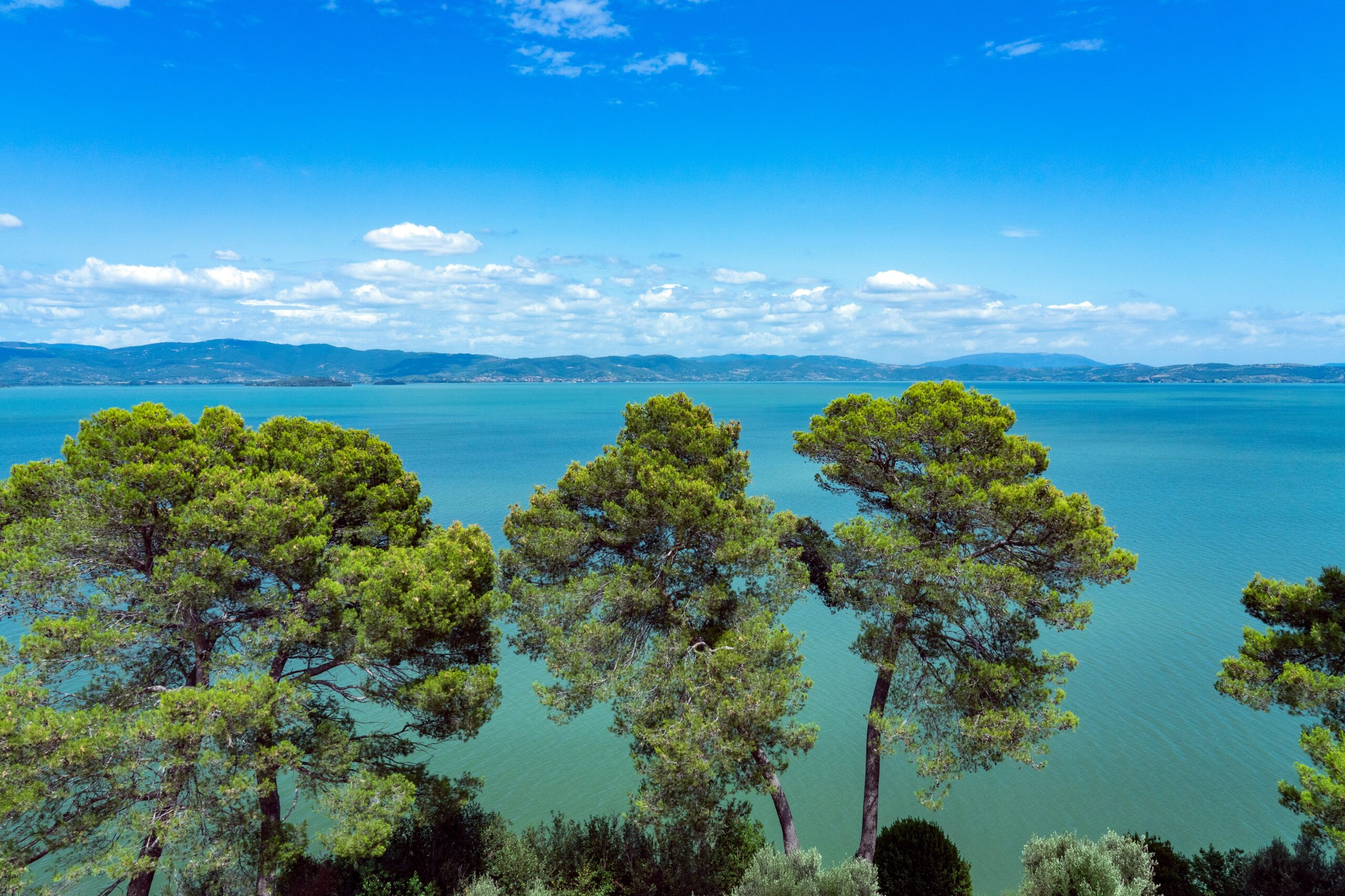 Vini del Lago Trasimeno