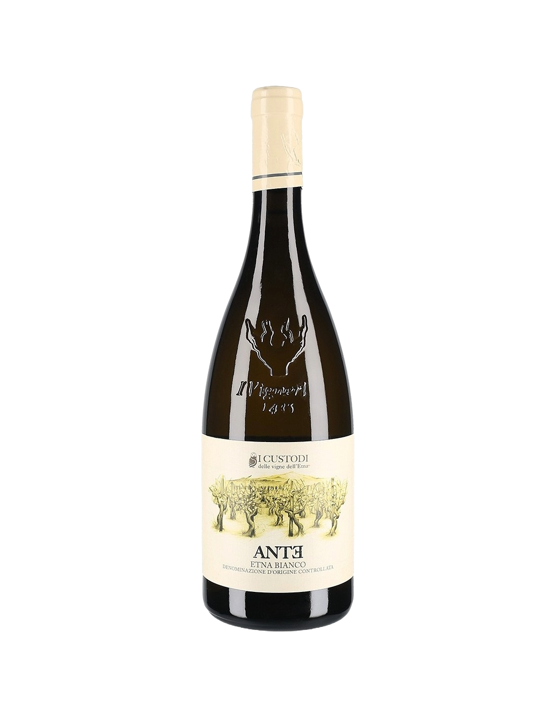 Ante Etna Bianco DOC- Custodi delle Vigne